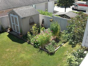 My Little City Garden