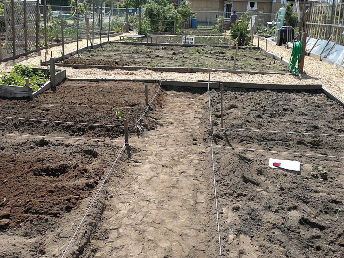 My Community Garden Plot