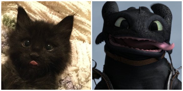 toothless-steve